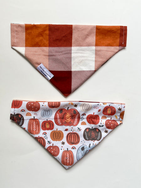 Pumpkin Patch Dog Bandana