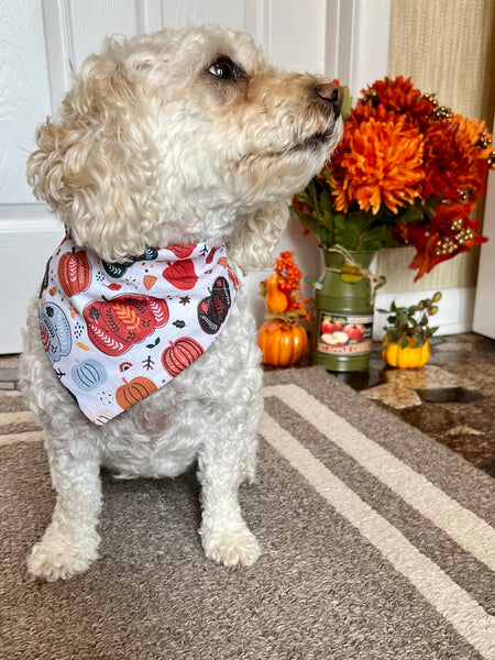 Pumpkin Patch Dog Bandana