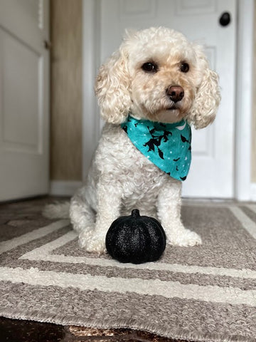 Reversible Bewitched Dog Bandana