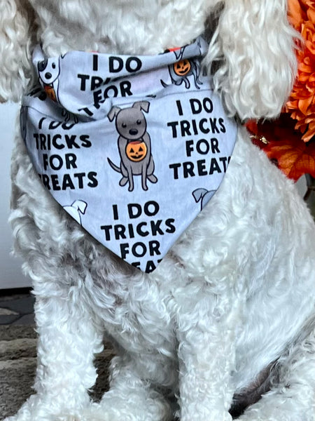 Tricks For Treats Dog Bandana