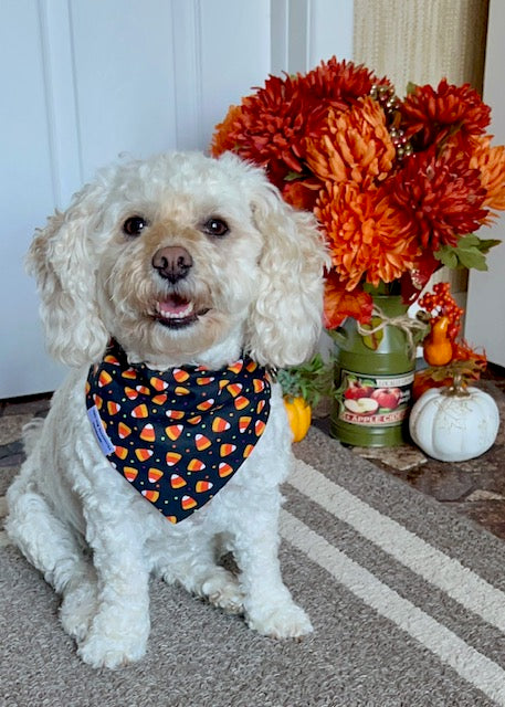 Tricks For Treats Dog Bandana