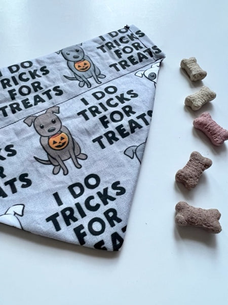 Tricks For Treats Dog Bandana