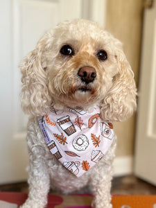 Pumpkin Spice Dog Bandana