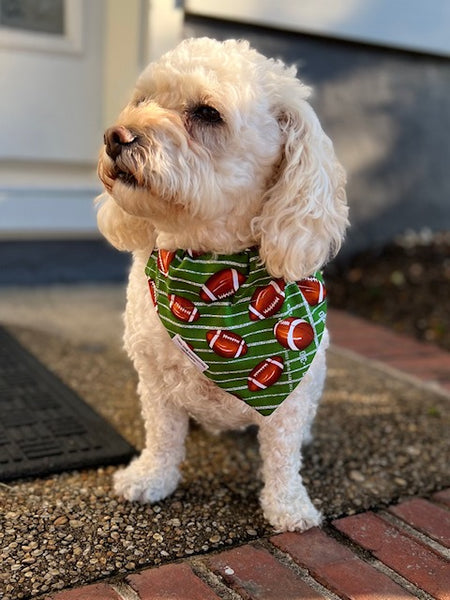 Game Day Dog Bandana