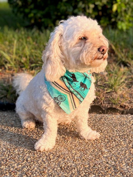 Native Dog Bandana