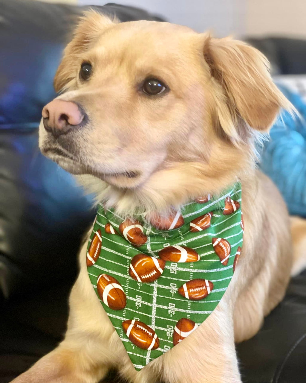 footballs on green dog bandana