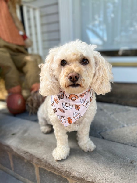 Pumpkin Spice Dog Bandana