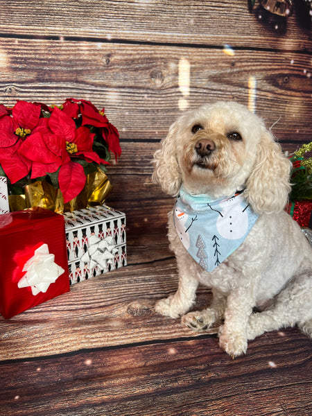 Winter Wonderland Dog Bandana