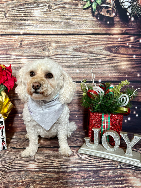 Winter Wonderland Dog Bandana