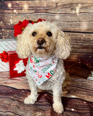 Reversible Holly Jolly Dog Bandana