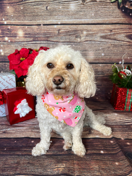 Sugar Plum Dog Bandana