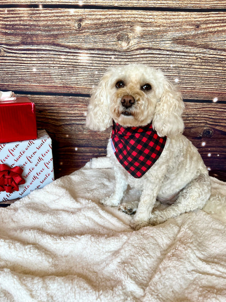 Limited Quantity! Buffalo Plaid Dog Bandana