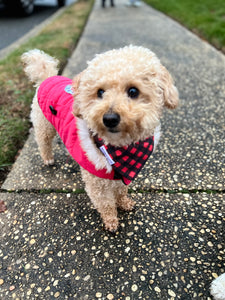 Limited Quantity! Buffalo Plaid Dog Bandana