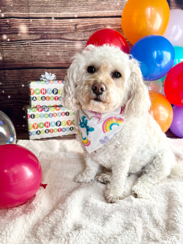 Birthday Balloon Animals Dog Bandana