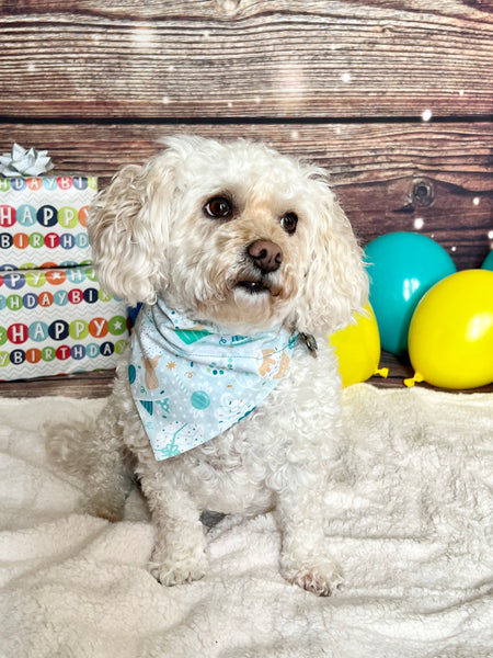 Reversible Birthday in Blue Dog Bandana