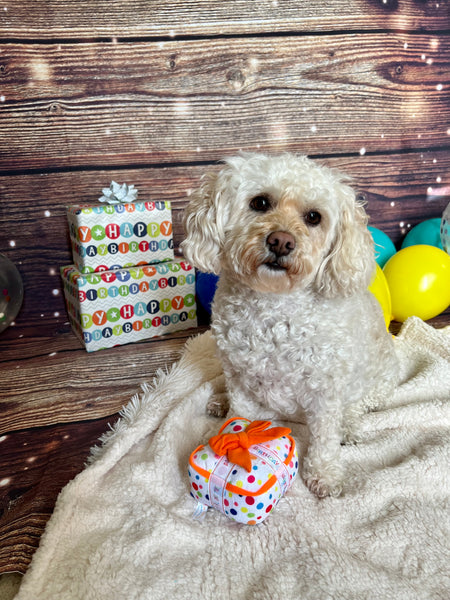 Birthday Box Plush Toy