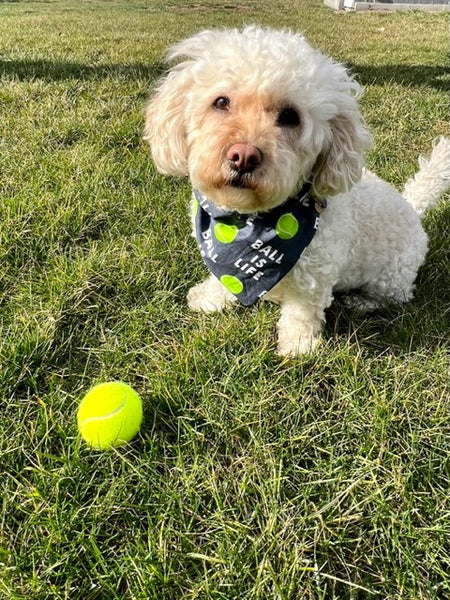 Reversible Ball is Life Dog Bandana