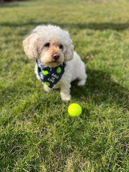 Reversible Ball is Life Dog Bandana