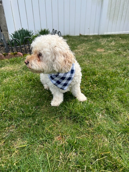 Reversible Ball is Life Dog Bandana