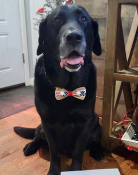 black lab wearing american flag dog bow tie